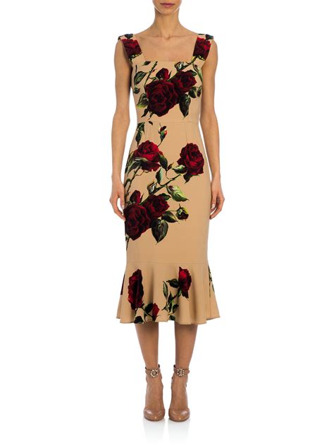 dolce gabbana rosa|dolce & gabbana rose dress.